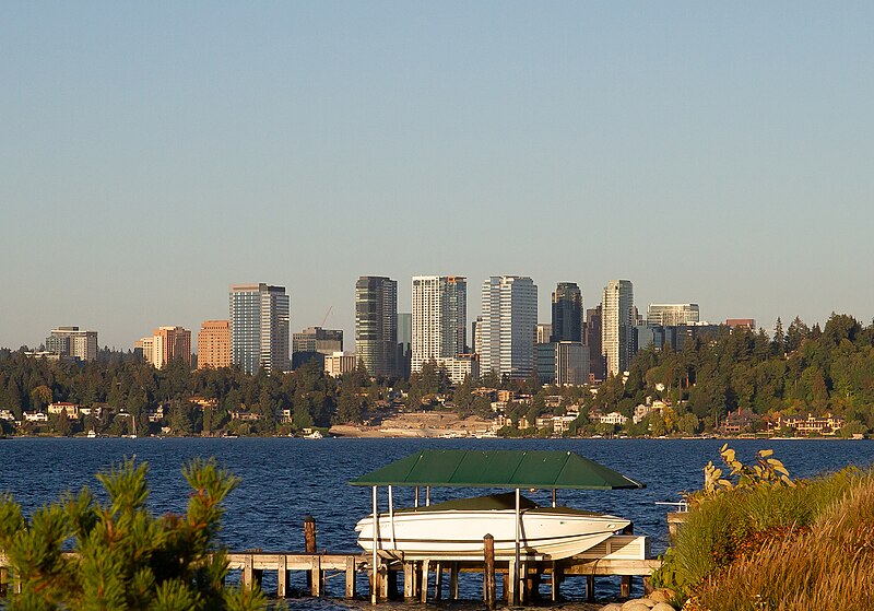 From: https://en.wikipedia.org/wiki/File:Bellevue_Skyline_Mercer_Island.jpg

Please see license and attribution at that URL